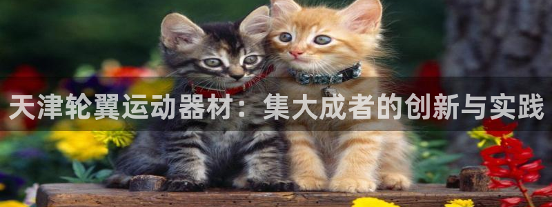 意昂4官网：天津轮翼运动器材：集大成者的创新与实践