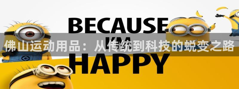 意昂体育4平台注册要钱吗：佛山运动用品：从传统到科技