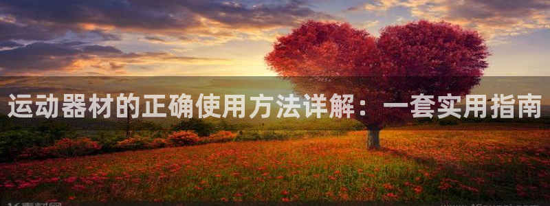 意昂平台体育：运动器材的正确使用方法详解：一套实用指