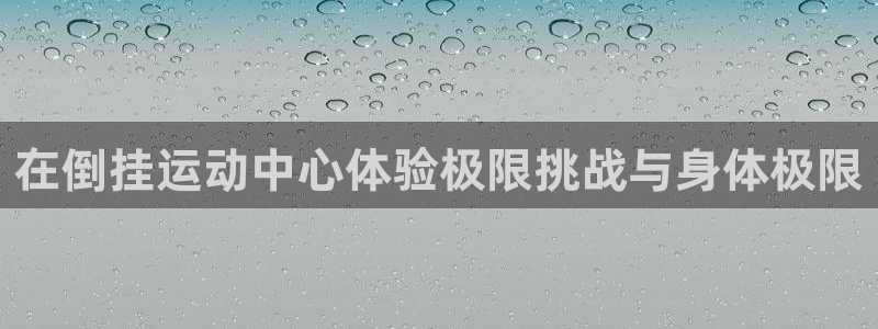意昂4集团简介