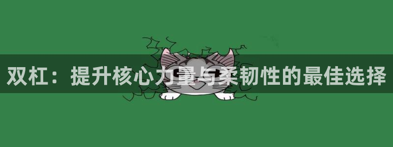 意昂4神州：双杠：提升核心力量与柔韧性的最佳选择