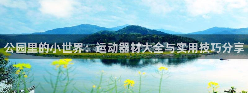 意昂4娱乐是那个系列的台子：公园里的小世界：运动器材大全与实