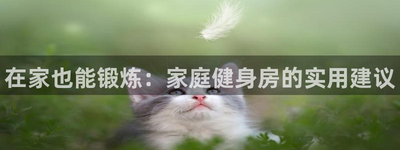 意昂体育4招商电话号码查询是多少：在家也能锻炼：家庭健身房的
