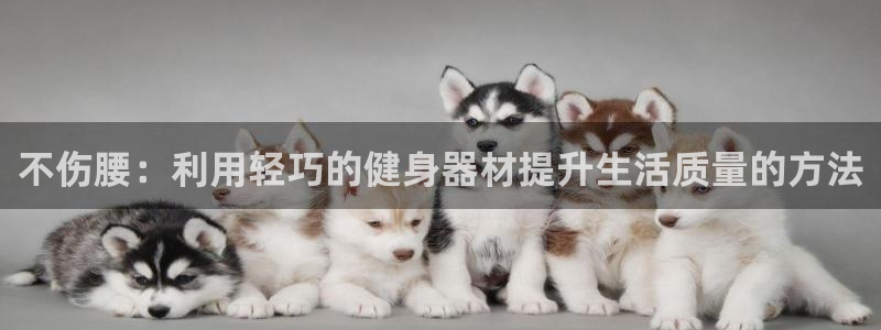 意昂体育4平台注册流程视频：不伤腰：利用轻巧的健身器材提升生