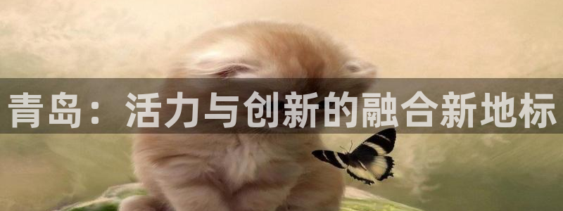 意昂体育4招商电话号码查询是多少