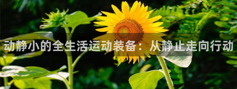 海南意昂体育4：动静小的全生活运动装备：从静止走向行动