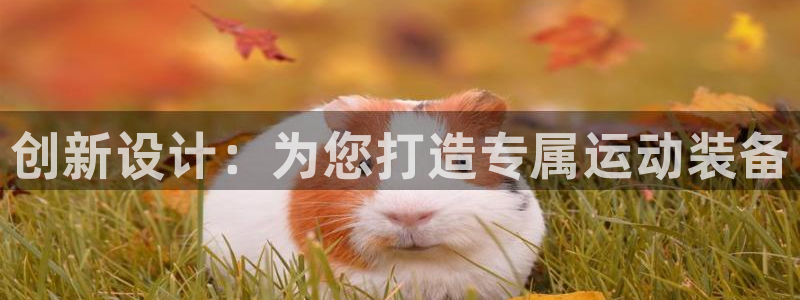意昂体育4招商电话号码查询是多少：创新设计：为您打造专属运动