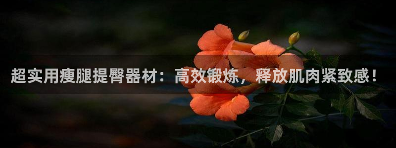 意昂4娱乐40996：超实用瘦腿提臀器材：高效锻炼，释放肌肉