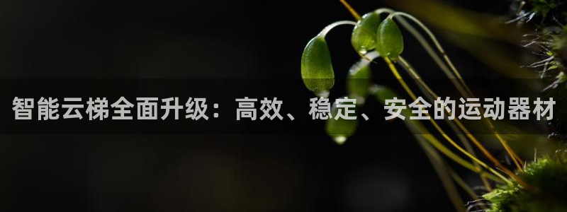 意昂体育4招商电话：智能云梯全面升级：高效、稳定、安