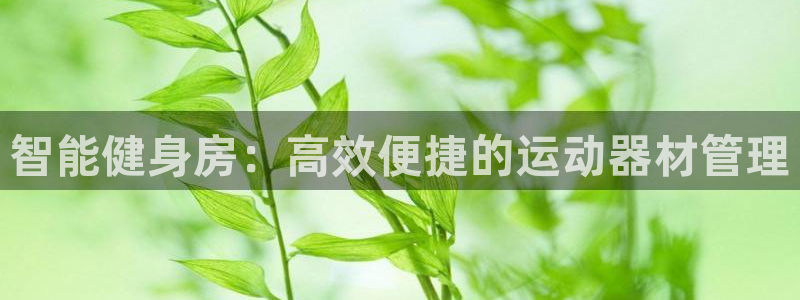 意昂4娱乐：智能健身房：高效便捷的运动器材管理