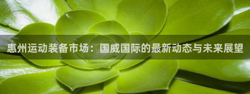 意昂4五金厂：惠州运动装备市场：国威国际的最新动态与