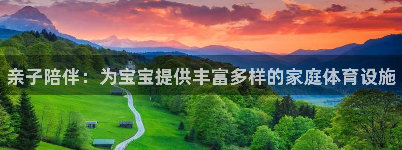 意昂体育4娱乐：亲子陪伴：为宝宝提供丰富多样的家庭体育设施