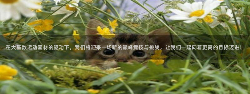 意昂体育4平台注册要钱吗安全吗：在大基数运动器材的驱动下，我