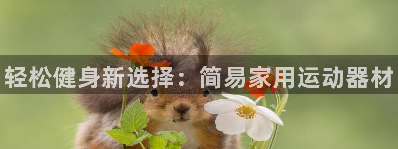 意昂体育4软件：轻松健身新选择：简易家用运动器材