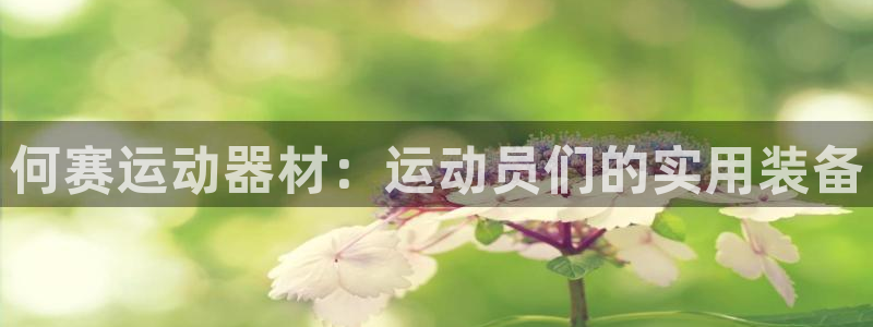 意昂体育4平台是正规平台吗知乎