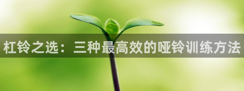 意昂4官方：杠铃之选：三种最高效的哑铃训练方法