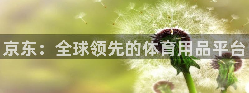 意昂体育4招商电话号码是多少：京东：全球领先的体育用品平台