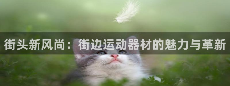 意昂4集团E.ON：街头新风尚：街边运动器材的魅力与