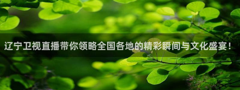 绿茵直播免费观看比赛：辽宁卫视直播带你领略全国各地的精彩瞬间与文化盛宴！