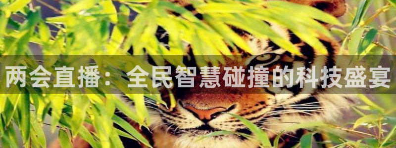 绿茵直播足球直播：两会直播：全民智慧碰撞的科技盛宴