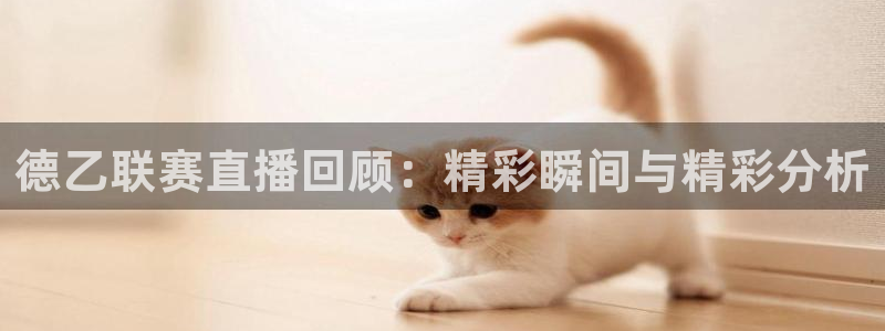 绿茵足球吧：德乙联赛直播回顾：精彩瞬间与精彩分析