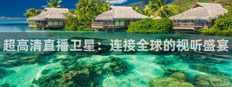 绿茵直播体育在线观看高清：超高清直播卫星：连接全球的视听盛宴