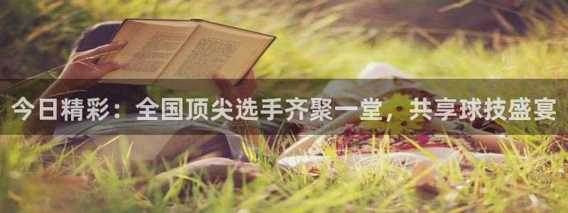 绿茵体育直播(无插件)：今日精彩：全国顶尖选手齐聚一堂，共享球技盛宴