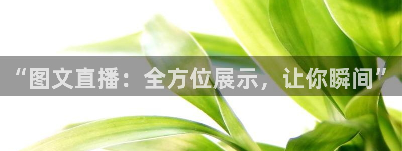 绿茵直播体育下载：“图文直播：全方位展示，让你瞬间”