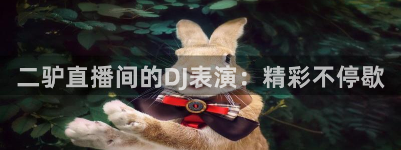 绿茵直播体育在线观看免费视频：二驴直播间的DJ表演：精彩不停歇